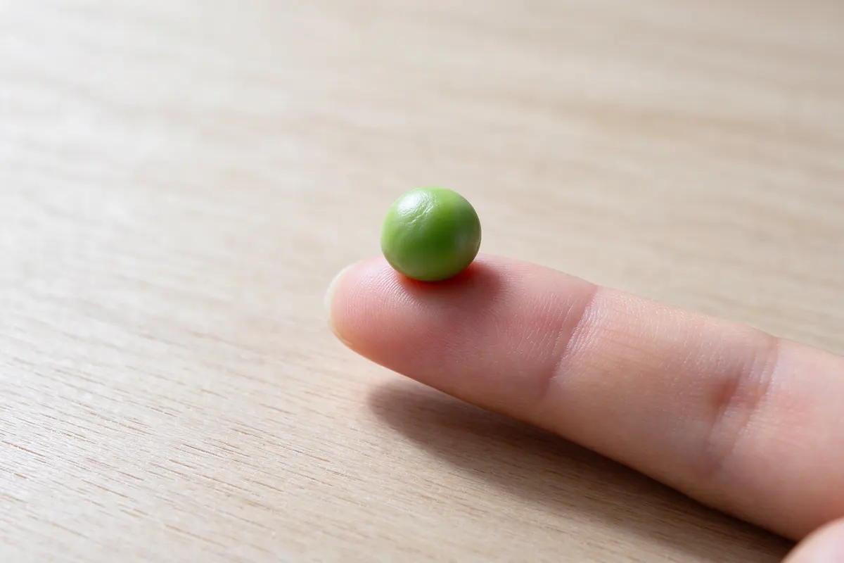 A single green pea resting on a fingertip, close up, soft window light.